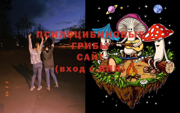 винт Аркадак