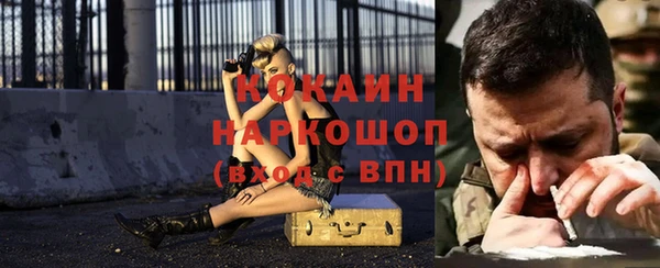 дмт Арсеньев