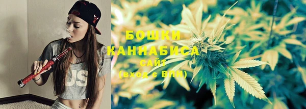 винт Аркадак